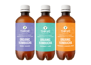 Organic Kombucha Variety Pack
