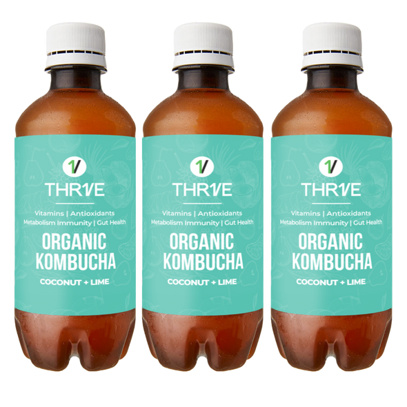 Organic Kombucha Coconut & Lime 3 Pack