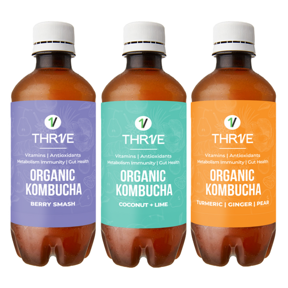 Organic Kombucha Variety Pack